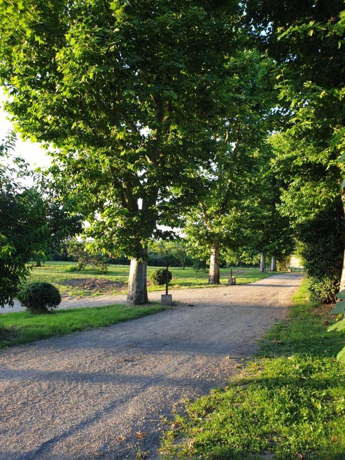 La Magdelaine-Sur-Tarn Domaine Des Jammetous - Hotel And Yoga Retreat Center מראה חיצוני תמונה